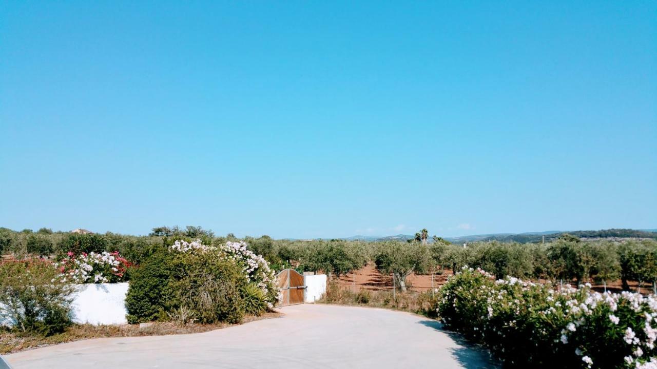 Villa Rafael Con Piscina, Iun P4098 阿尔盖罗 外观 照片